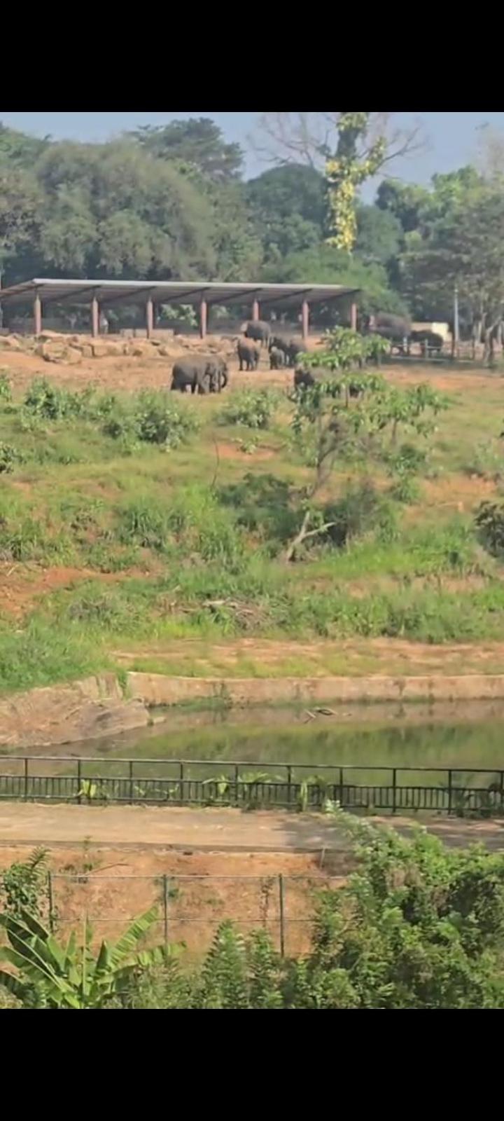 Pinnawala Elephant Front View Hotel Rambukkana Exteriör bild